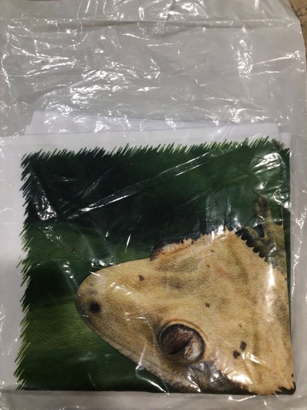 Photo 1 of 3D Rose New Caledonian Crested Gecko Lizard-Na02 Mpr0086-Maresa Pryor Design Pillowcase, 16" x 16"