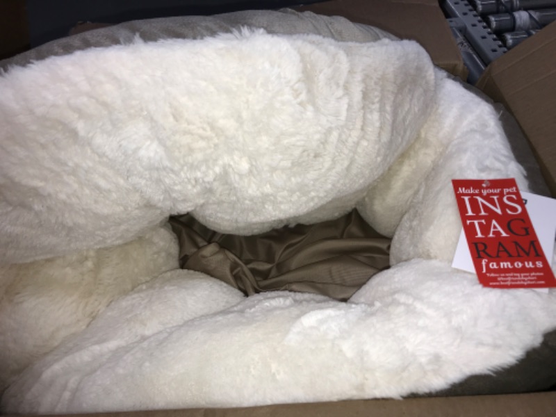Photo 1 of Best Friends by Sheri Ilan OrthoComfort Deep Dish Cuddler Dog Bed Jumbo Wheat