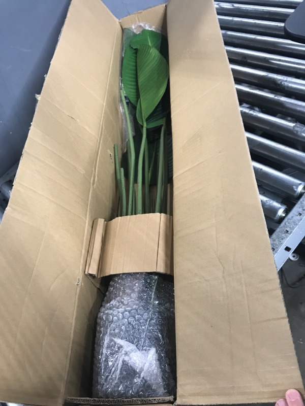 Photo 1 of *DAMAGED*  Medium Sized Faux Plant