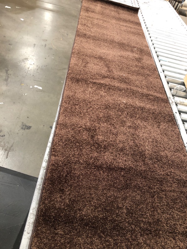 Photo 1 of 94 x 23 inch brown hallway rug