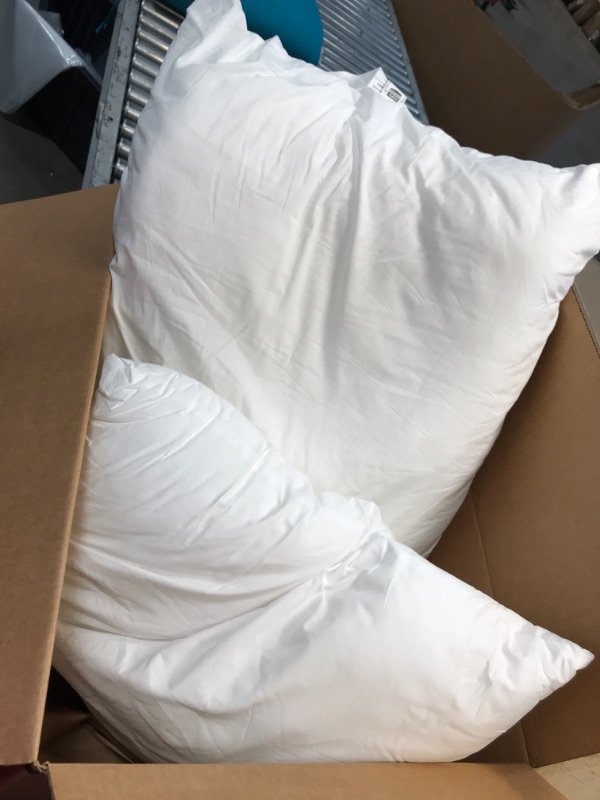 Photo 1 of 24x24'' White Pillows 2 Pack 