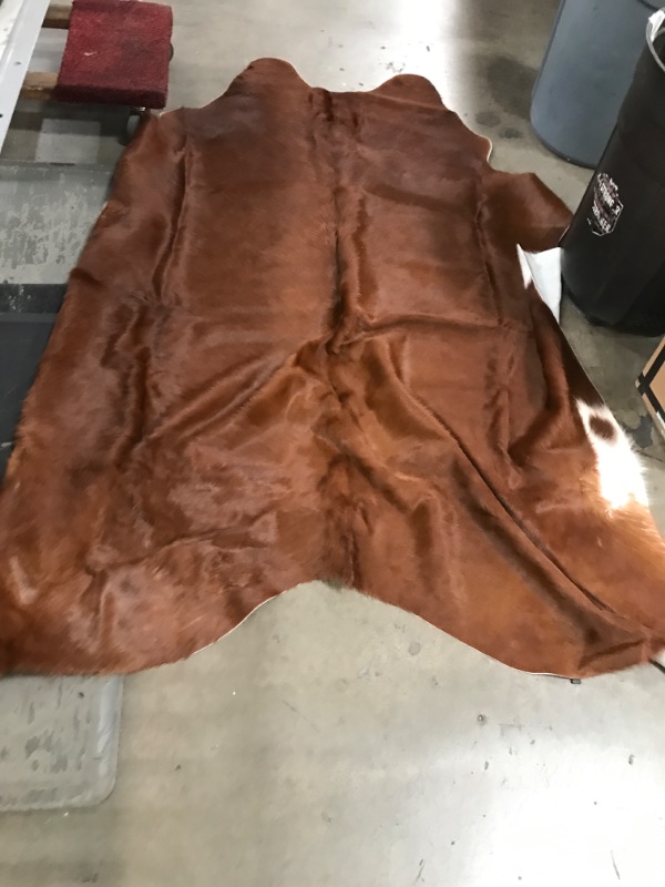 Photo 1 of 6ft x 8ft cowskin rug brown.