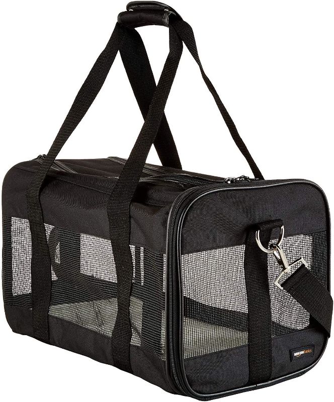 Photo 1 of Amazon Basics Soft-Sided Mesh Pet Travel Carrier, Small