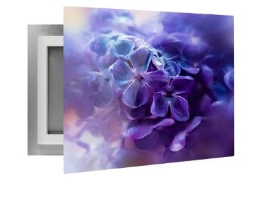 Photo 1 of 16x20 Metal Print metal canvas floater frame 
