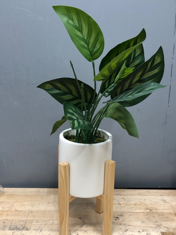 Photo 2 of description is for references Mkono Fake Plants in Ceramic Pot, 11" Potted Artificial Plants for Home Decor Indoor Faux Green Leaf Plant with Modern White Planter for Desk Shelf Office Room Decoration (Pothos)