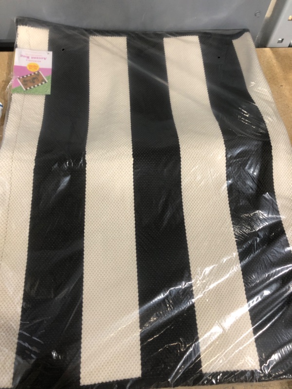 Photo 1 of 2'x3' Indoor/Outdoor Reversible Scatter Black - Sun Squad
