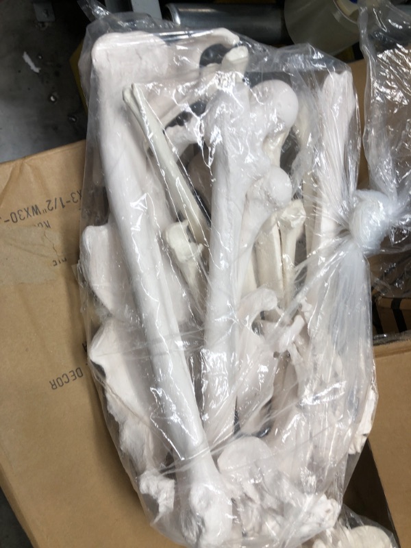 Photo 4 of Benilev Disarticulated Human Skeleton Model for Anatomy, Full Size 67'' Skeleton with 200+ Bones Structures 3 Poster Skull Spine Bones Articulated Hand & Foot, for Anatomy Medical Learning