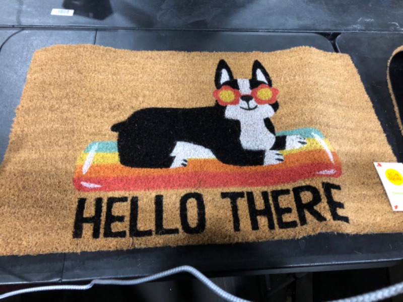 Photo 2 of 16x26 Hello Summer Dog Doormat Natural - Threshold