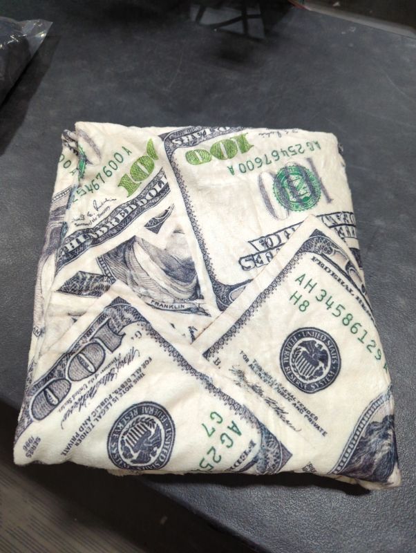 Photo 1 of 100 dollar bill throw blanket