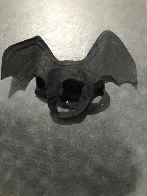 Photo 1 of Black Bat Doggy Costume Wings 