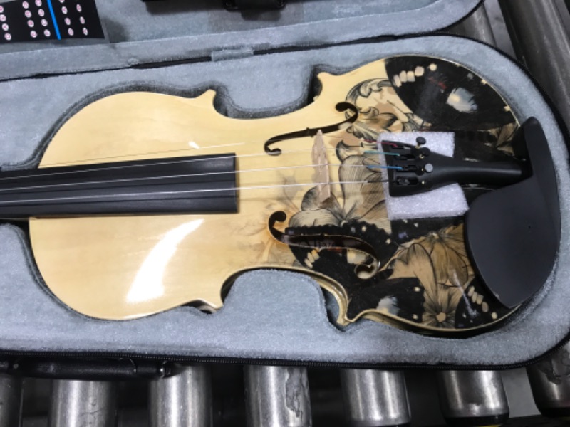 Photo 3 of  Aliyes Distinctive Artistic Violin Set Designed for Beginners/Students/Kids/adults with Hard Case,Bow,Extra Strings (4/4/Full-size) 