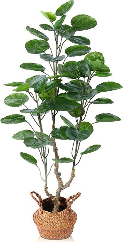 Photo 1 of 18 Inch Fake Money Tree Plant Indoor Potted Plants Artificial Aralia Balfour Tree Small Faux Plants in Black Pot Good Luck Excellent Gift Fortune Plants for Home Office Decor