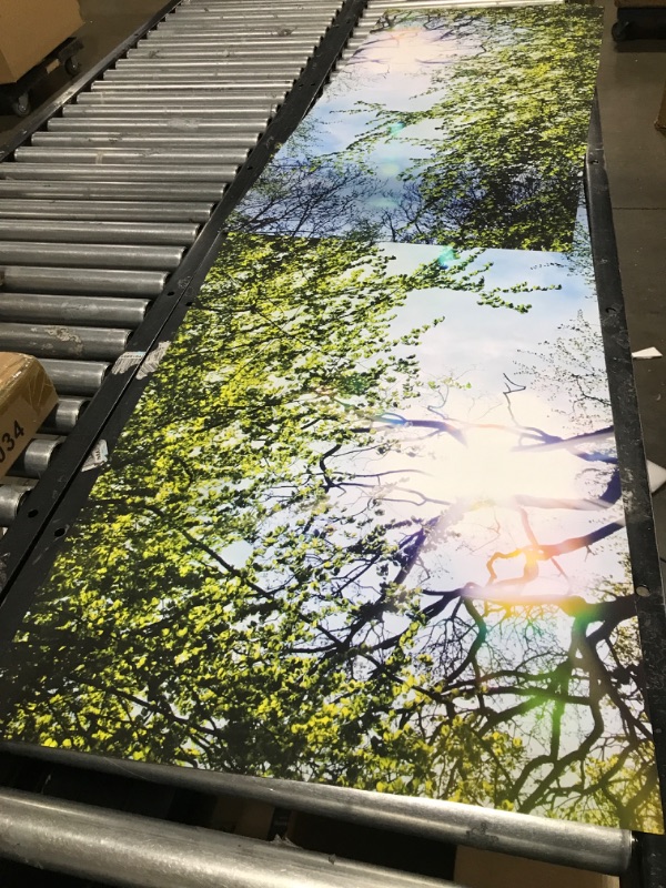 Photo 1 of 2 PIECE -BACKROUND BACK DROP /TREES&SKY
SIZE-22X46 