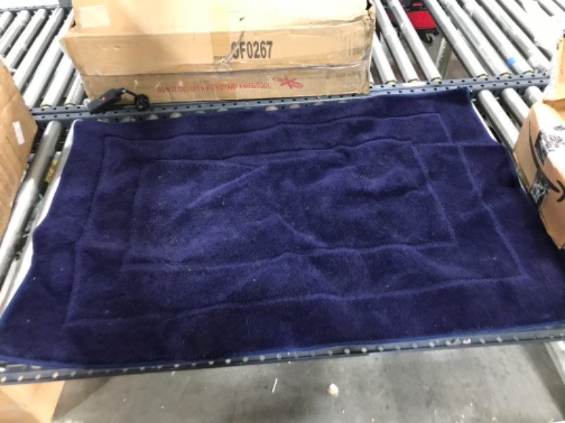 Photo 1 of 31*46 blue area rug