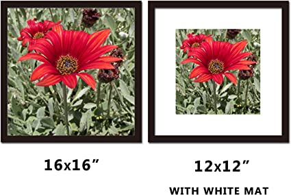 Photo 1 of 16x16 Picture Frame Black 3 Pack Solid Wood for Mat 12x12 Wall Mounting Square Poster Photo Frames
