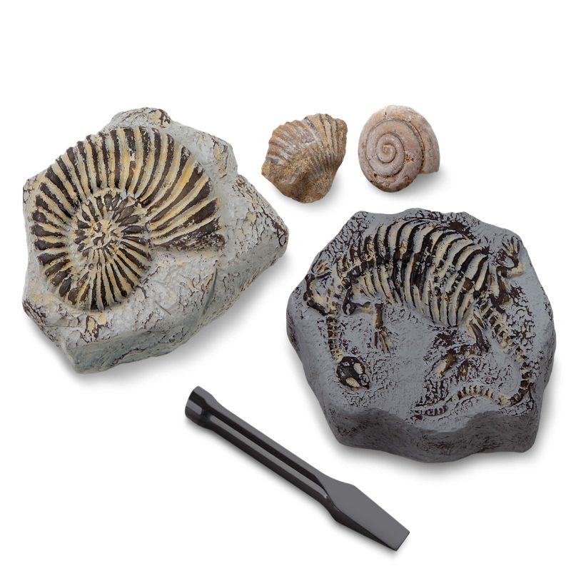 Photo 2 of Discovery #MINDBLOWN Mini Fossil Dig Set, 2 Pack Excavation Kit, Interactive Archaeology Paleontology Experiment, Learn Science, Fun and Educational STEM Toy for Kids Ages 6 and Up