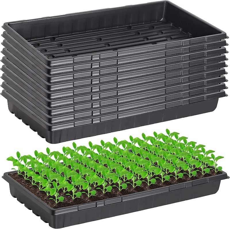 Photo 1 of 10 Pcs 20×10 Inch Plants Growing Trays - Black Seedlings Plugs Tray No Drain Holes Hydroponic Plastic Container Seed Starter without holes for Microgreens Flowers Sprouts Wheatgrass