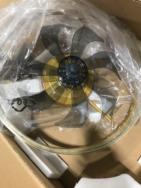 Photo 1 of REDSTAR Gold Modern Ceiling Fan with Light 20", Higher Light Transmittance with Traditional Safe and Quiet Motor, Flush Mount Ceiling Lights with Fan Remote Control for Kidsroom B-Modern-Gold