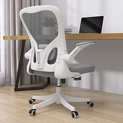 Photo 1 of Monhey Office Chair - Ergonomic Office Chair with Lumbar Support & Flip Up Arms Home Office Desk Chairs Rockable Swivel High Back Computer Chair White Frame Grey Mesh Study Chair
