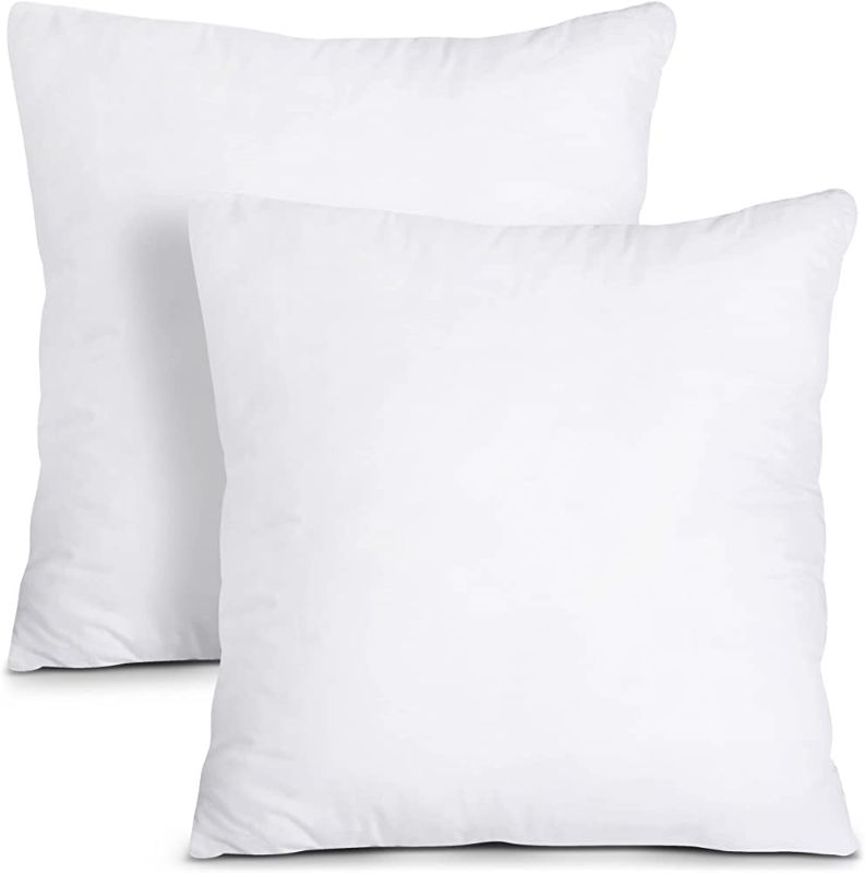 Photo 1 of 2 PACK 22 X 22 INCH PILLOW INSERTS