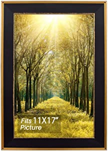 Photo 1 of  Space Art Deco, 11x17 Classics Gold Design Black Picture Frame - Photo/Picture/Poster Display - Sawtooth Hangers and Wall Mount Shatter-Resistant Grass (11x17, Classic Gold Design) 