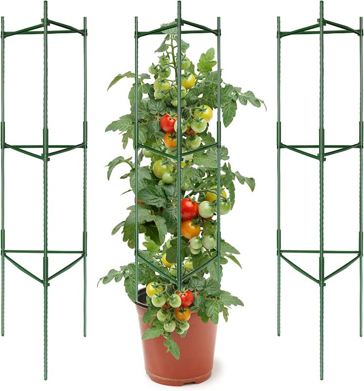 Photo 1 of   Skoioje 3Pack Tomato Cage, Easy Assembly Multi-Functional Climbing Vegetables, Plant Stakes and Support Cages Vertical Climbing Plants(Up to 50 inches Tall)

