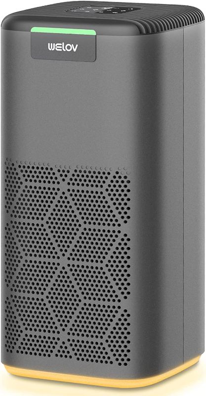 Photo 1 of Air Purifiers for Home Large Room: Welov Air Purifiers for Pets Allergy, 1077 Sq Ft Coverage, Auto Mode, Removes 99.97% of Pet Hair Dander Pollen Smoke Dust Odor, 23dB Air Purifiers for Bedroom, P200S
