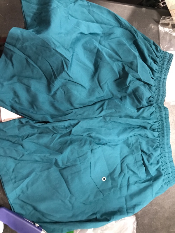 Photo 1 of LG Blue Shorts 