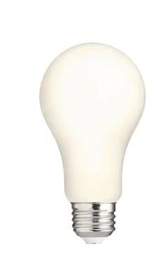 Photo 1 of 100-Watt Equivalent A19 Dimmable CEC Frosted Glass Filament LED Light Bulb Bright White (2-Pack)