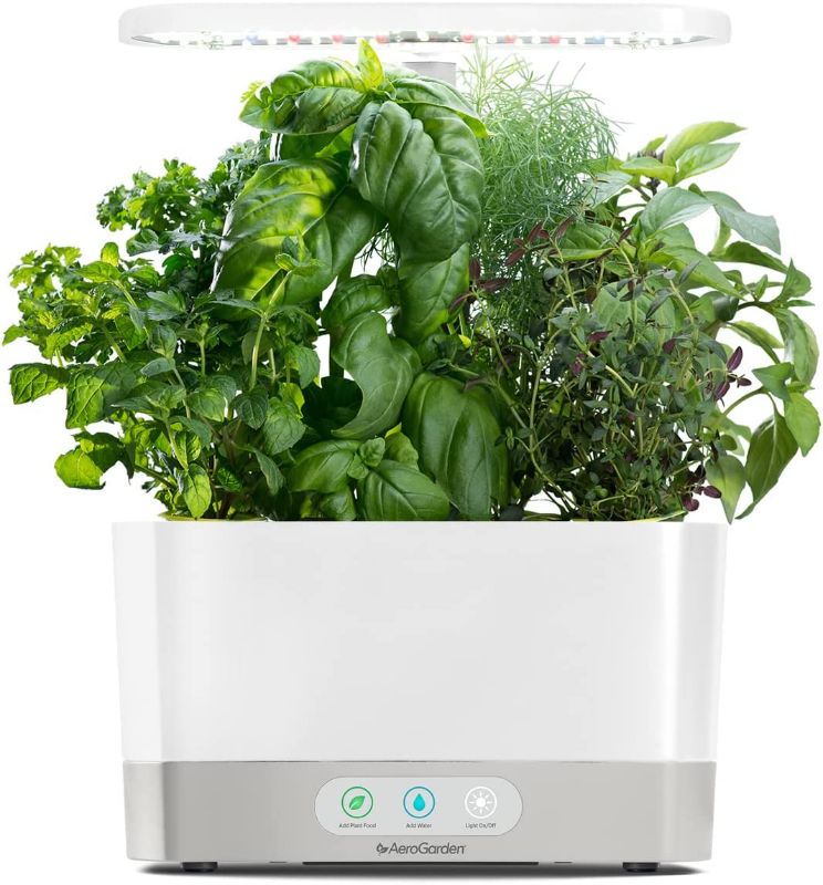 Photo 1 of AeroGarden Harvest with Gourmet Herb Seed Pod Kit - Hydroponic Indoor Garden, White
