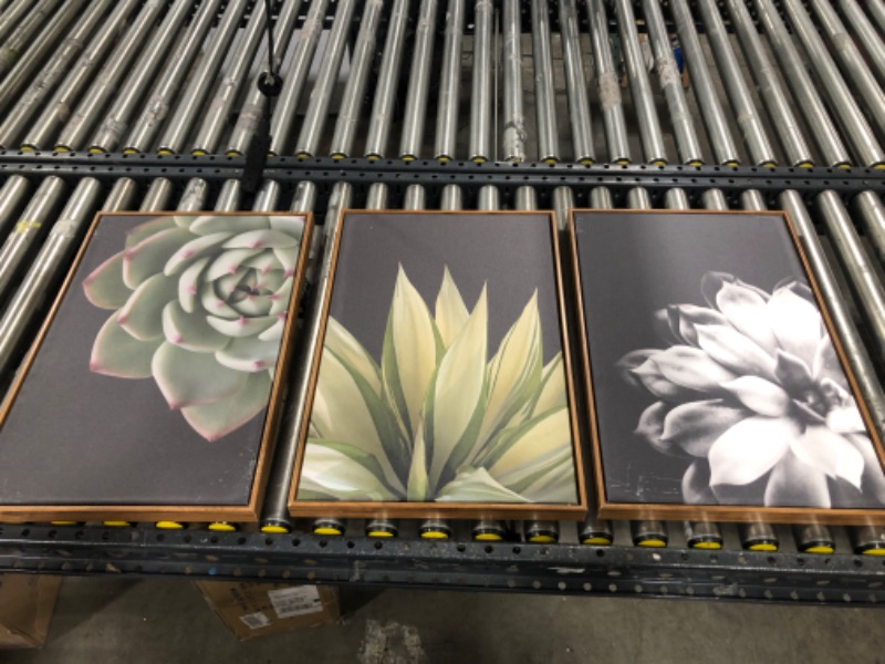 Photo 1 of 3 Piece Of Wall Hung Art/ 16 X 24