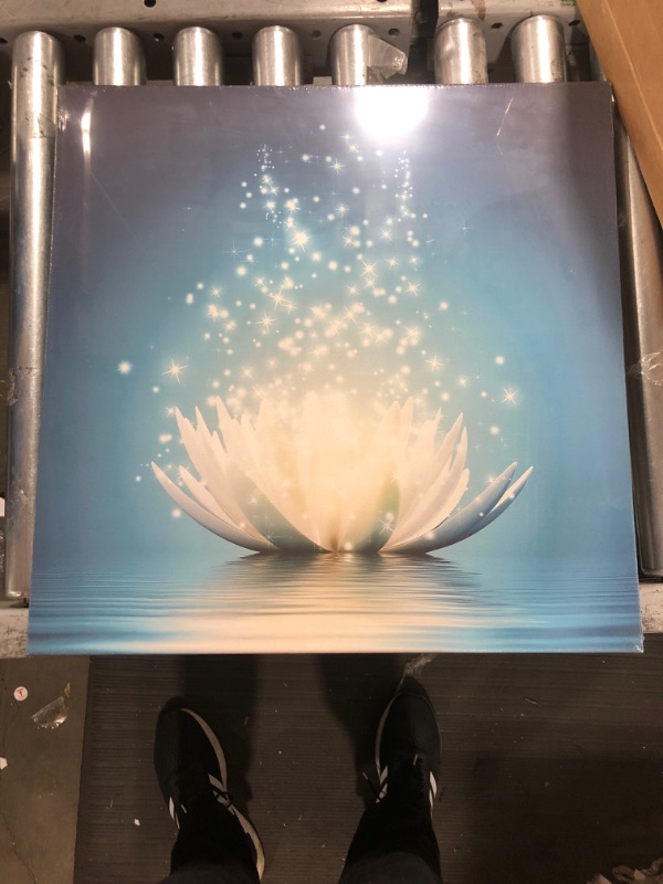 Photo 1 of 20 inch lotus canvas