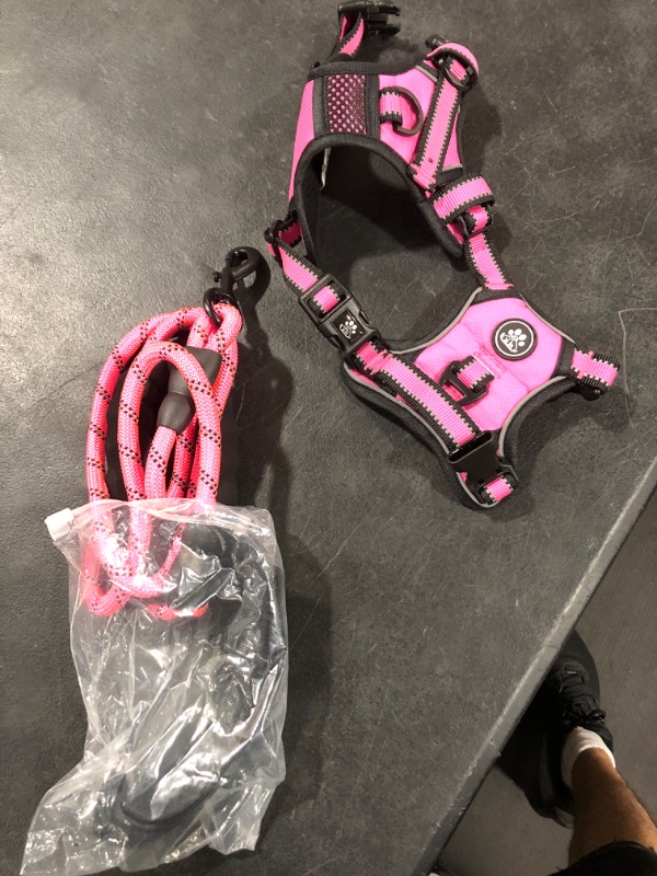 Photo 1 of Dogs Harness and leash small