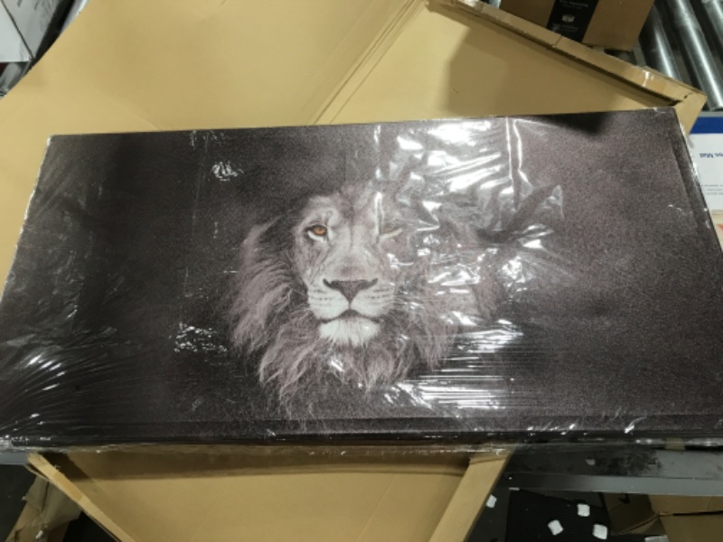 Photo 1 of 2 feet by 5 feet lion canvas painting