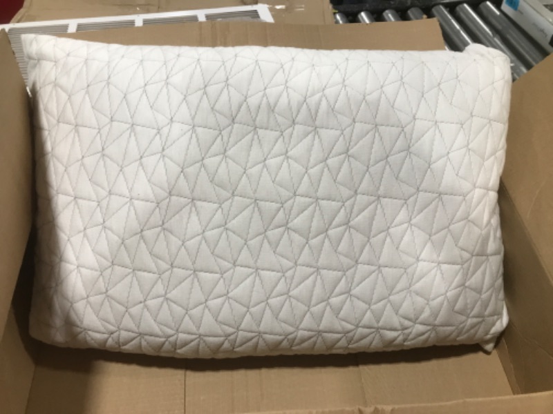 Photo 1 of 25 x 16 inch Foam Pillow