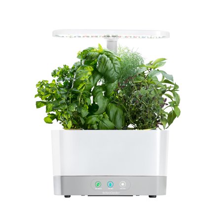 Photo 1 of AeroGarden Harvest with Gourmet Herb Seed AeroGarden Pods Kit in White
