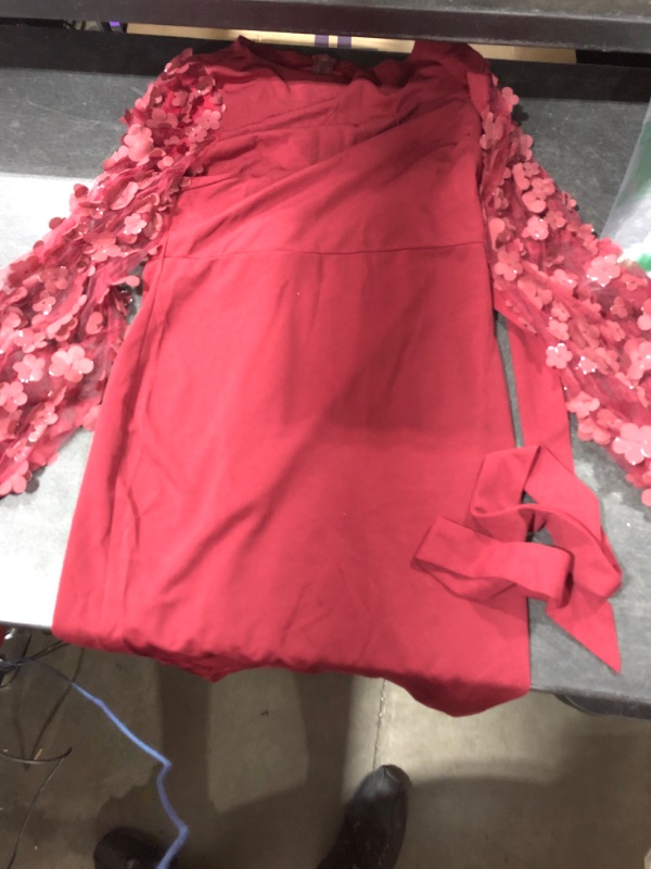 Photo 1 of Burgundy Dress, Unknown Size