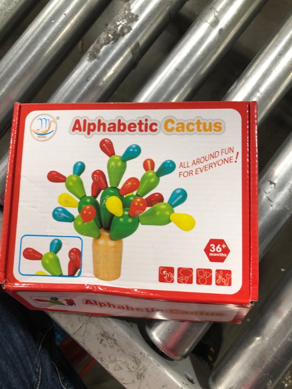 Photo 1 of Alphabetic Cactus 