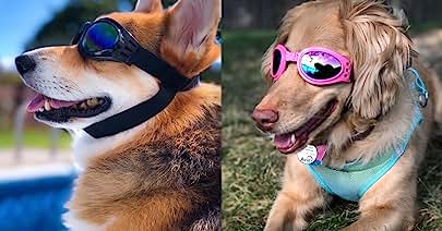 Photo 1 of  Dog Sunglasses Goggles, UV Protection Wind Dust Fog Pet Glasses Eye Wear with Adjustable
