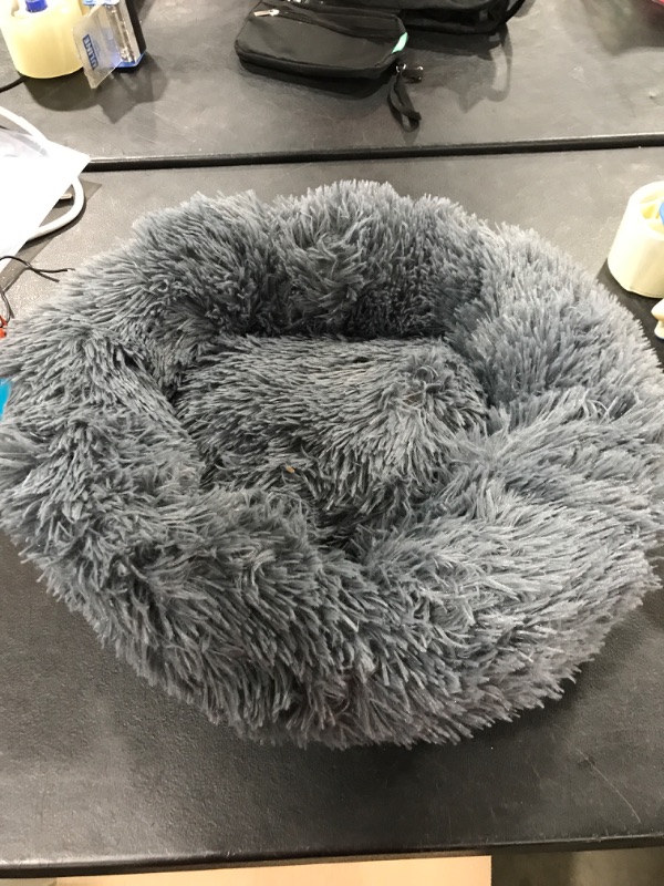 Photo 1 of Dog bed for small dog