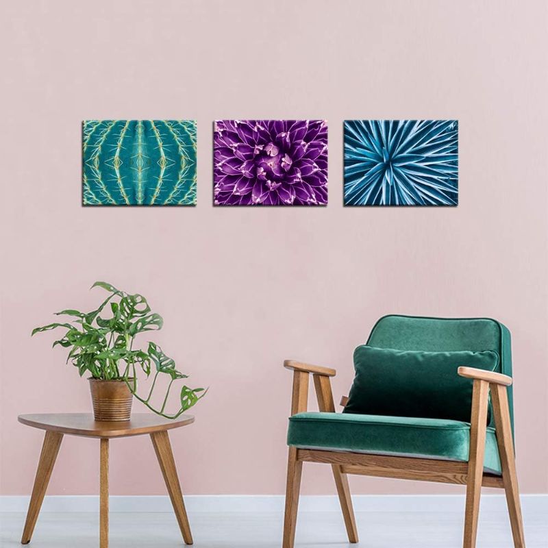 Photo 1 of 
iKNOW FOTO 3 Piece Floral Wall Art Blue Thorn Cactus Violet Agave Cactus and Agave Leaf Canvas Prints Flower Painting Home Decor Giclee Print Gallery Wrap