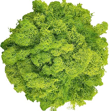 Photo 1 of  Green Moss for Crafts, Artificial Moss for Potted Plants,
