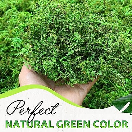 Photo 1 of  Green Moss for Crafts, Artificial Moss for Potted Plants,
