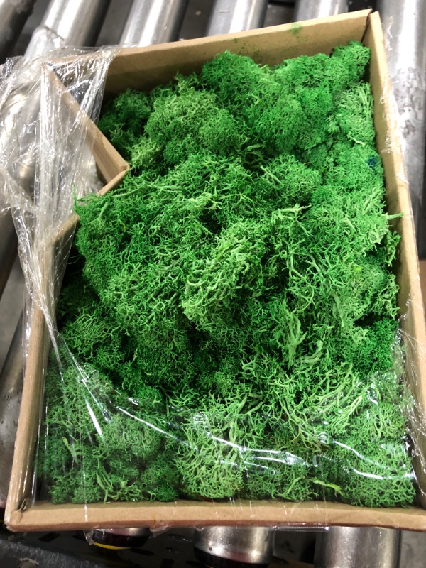 Photo 2 of  Green Moss for Crafts, Artificial Moss for Potted Plants,
