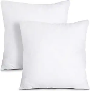 Photo 1 of  Throw Pillows Insert (Pack of 2, White) - 24 x 24 Inches Bed and Couch Pillows 
