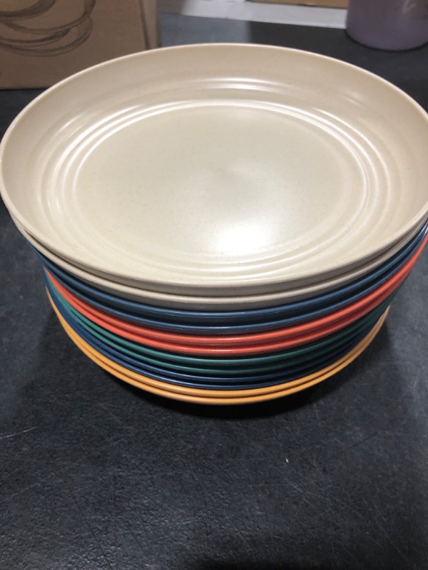 Photo 1 of 12 Count Plates