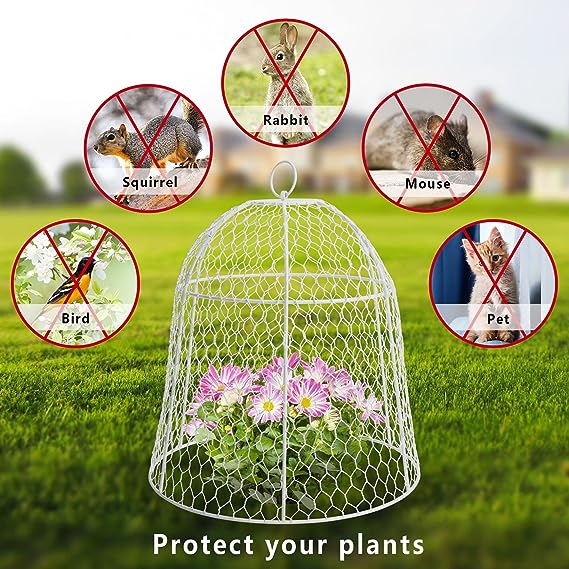 Photo 1 of  1 Pack Garden Chicken Wire Cloche -11.8 x 11.8 Inch Metal Squirrel Proof Wire Cloche-Plant Protectors and Covers for Keeping Bunny Chicken Animals Out Garden Decoration Long Using WHITE 