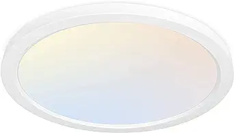 Photo 1 of 13 Inch LED Round Flat Panel Light, 24W 2400lm 3000K/4000K/5000K CCT Selectable, Dimmable Edge-Lit Flush Mount LED Ceiling Light for Kitchen, Bedroom, Laundry and Closet Room, Black 13 inch