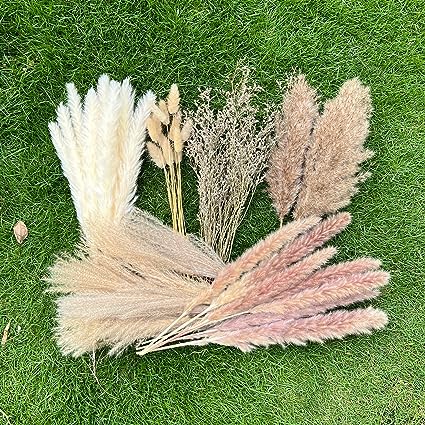 Photo 1 of 100Pcs Pampas Grass Boho Home Decor 17 inch Natural Dried Flowers-Pampas Grass Contains Bunny Tails White Pampas Brown Pampas.Boho Decor for Farmhouse Wedding Boho Wall Bathroom Office Kitchen… 