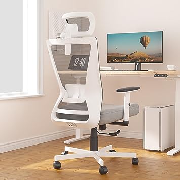 Photo 1 of Dripex Ergonomic Office Chair, Model BGHO21HEN 
